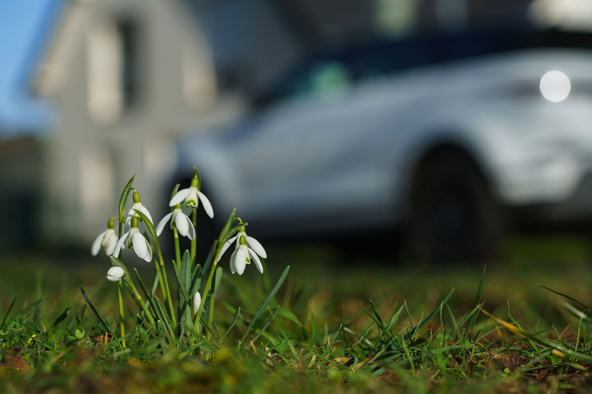 What's new for March 2022