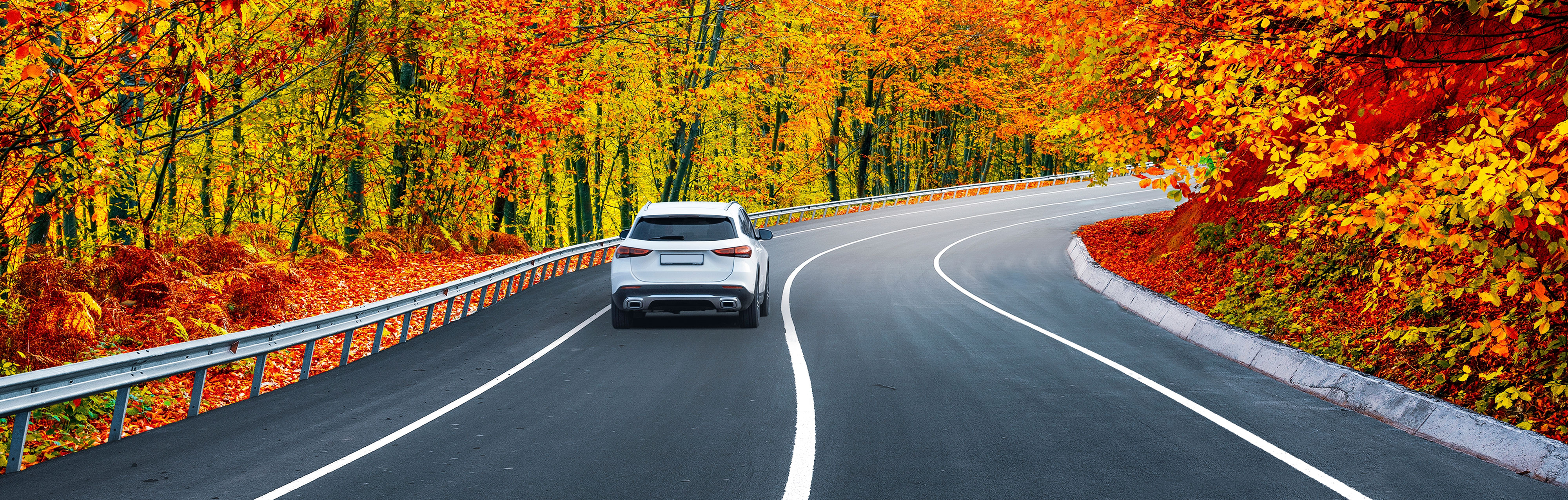 What's new for November 2023