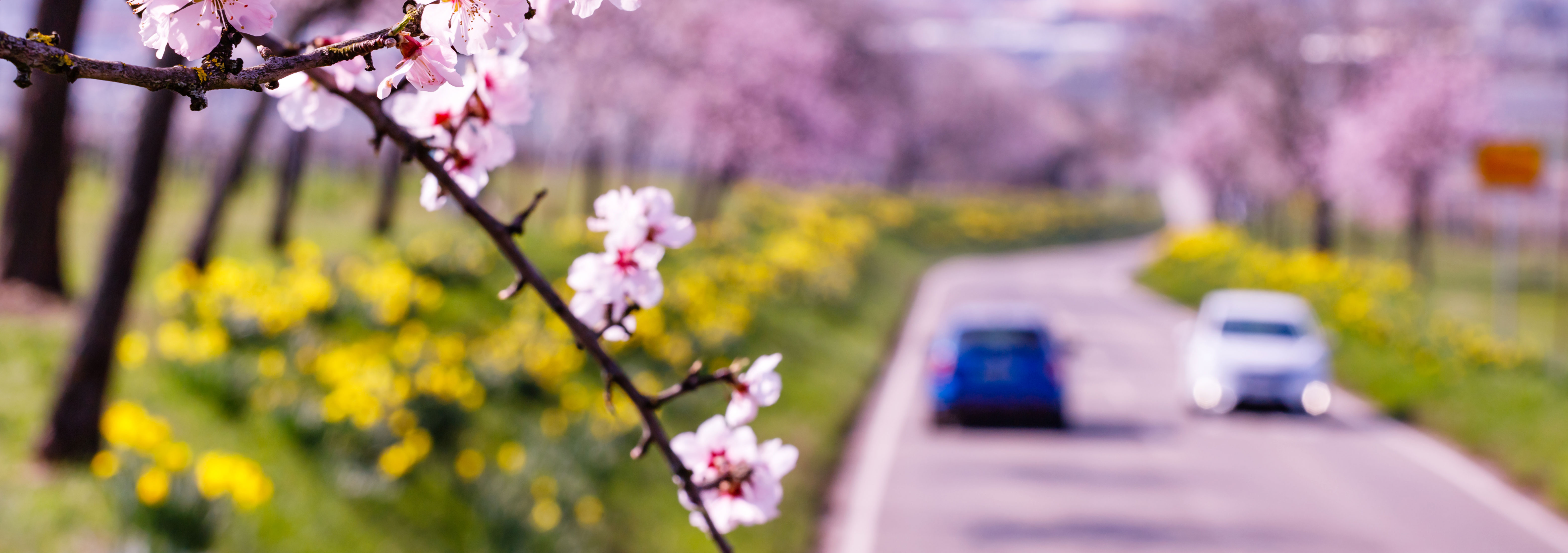 What's new for February 2024