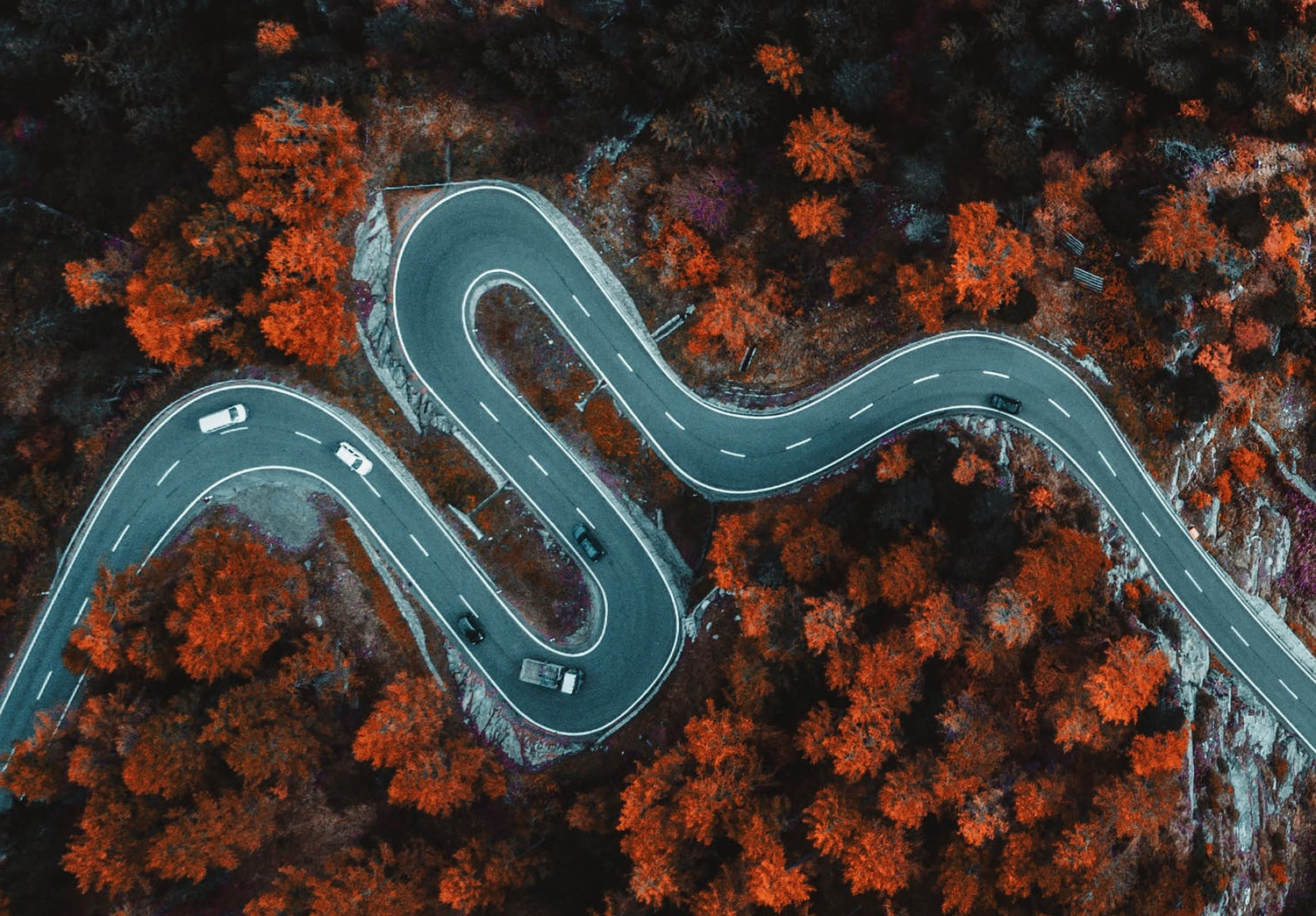 What's new for November 2021